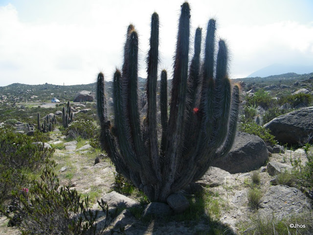 20090919%20110.jpg