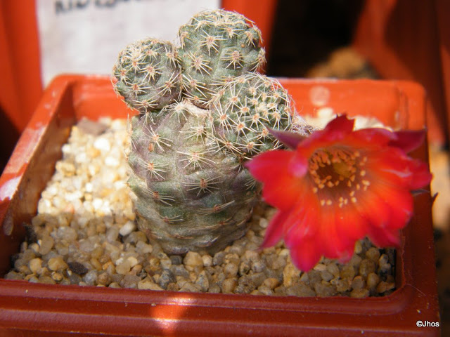20090923%20045.jpg