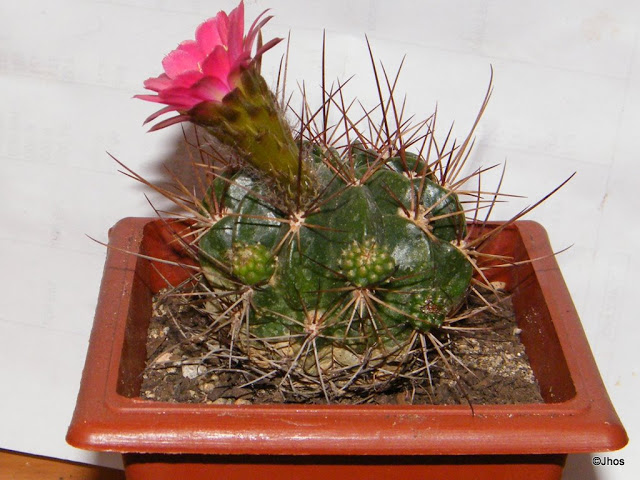 20091013%20027.jpg