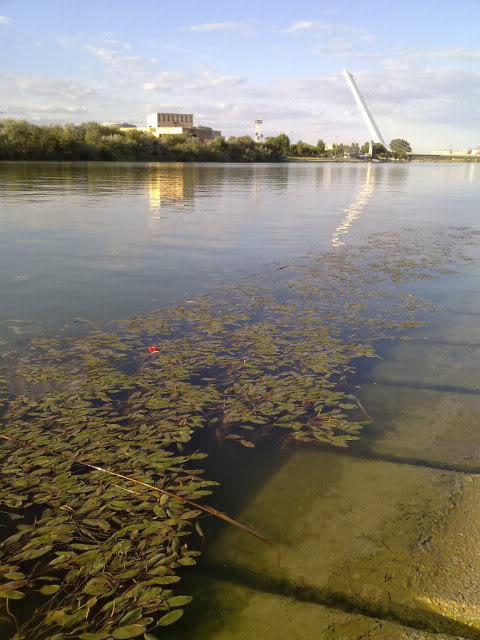 20092009036.jpg