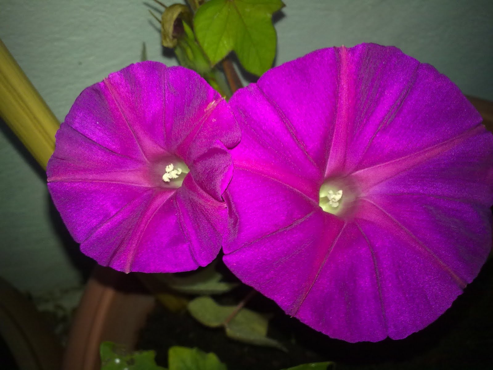200920103667.jpg