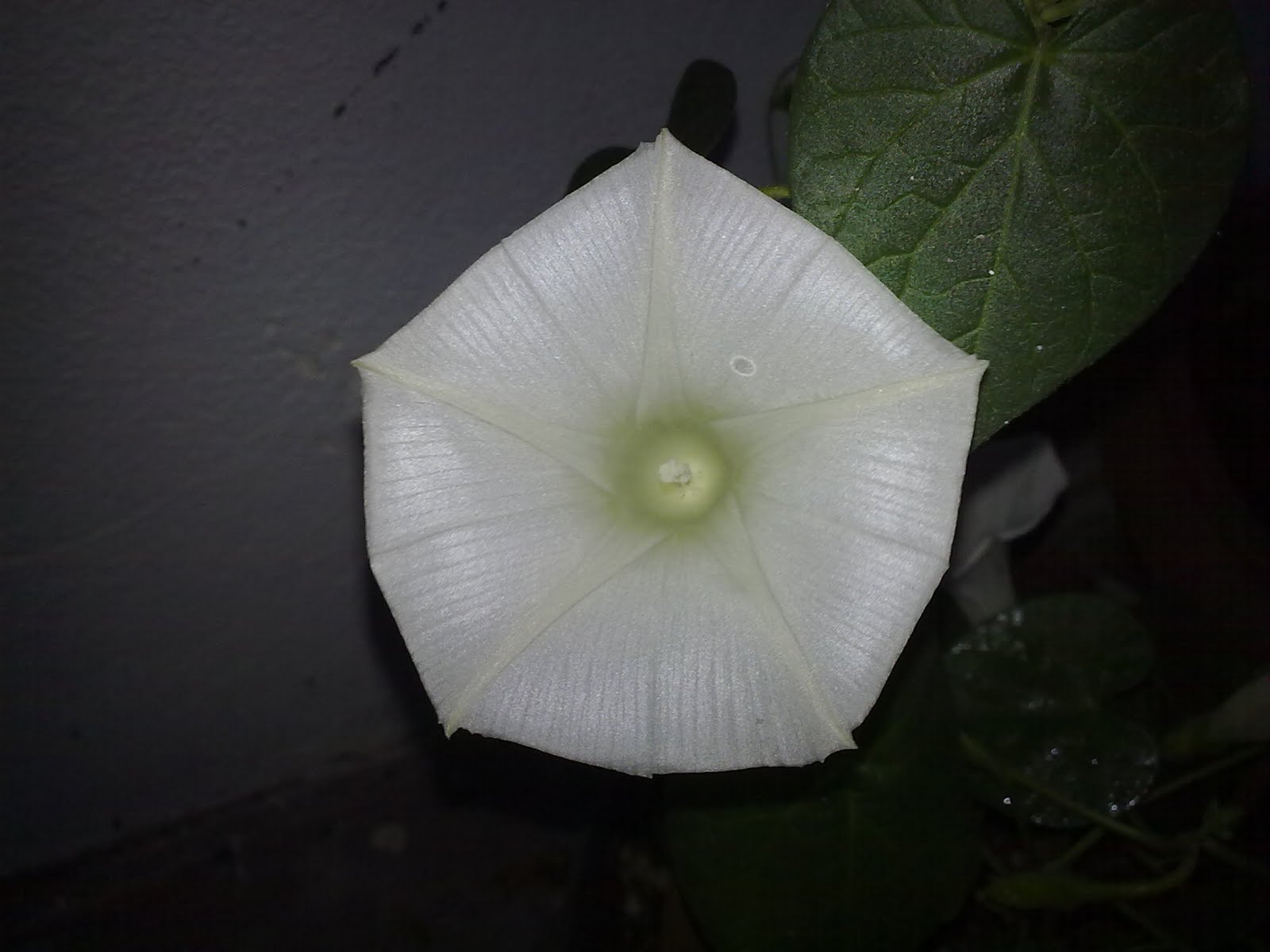 200920103668.jpg