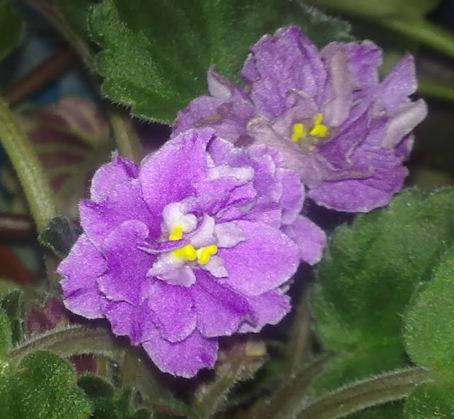 200920123140.jpg