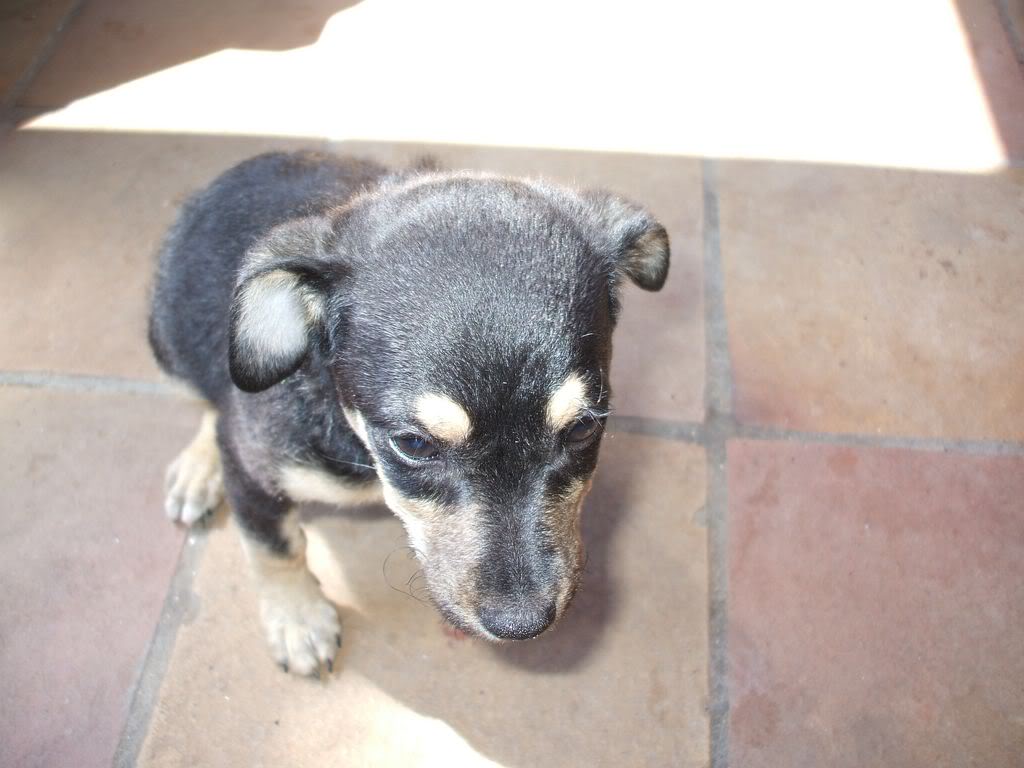 2009_0730Julio-2-0900011280x768.jpg