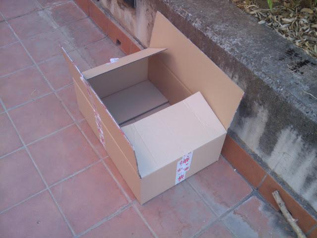 2010-06-17%2019.44.30.jpg