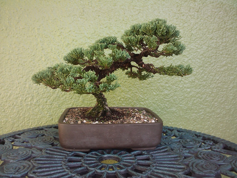 2010-10-23%2008.57.57.jpg