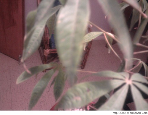 2010030901075600000001690000120265.jpg