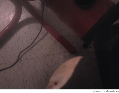 2010030901100300000001690000120265.jpg