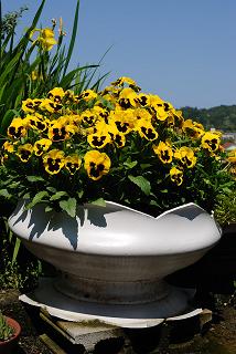 20100605100921.jpg