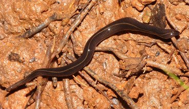 20100923133506.jpg
