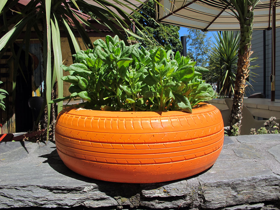 20100927-containergarden6.jpg