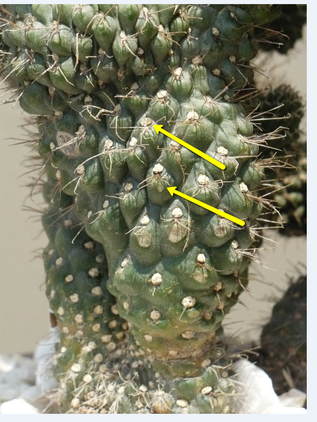 2011-03-25_1330.png