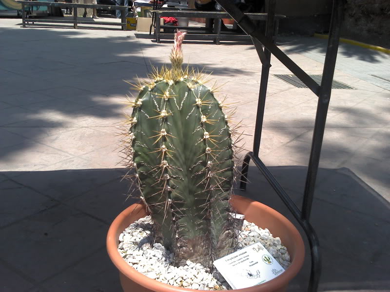 2011-04-10_13-47-00_835.jpg