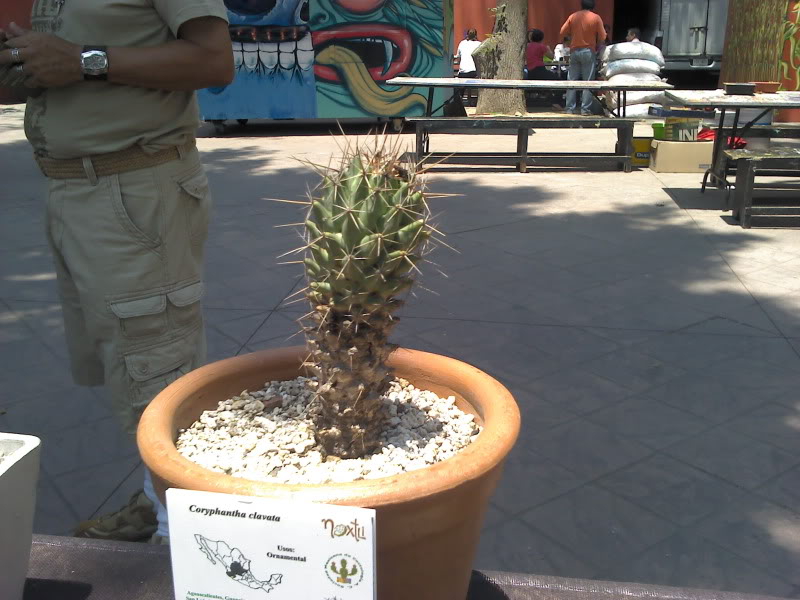 2011-04-10_13-47-12_93.jpg