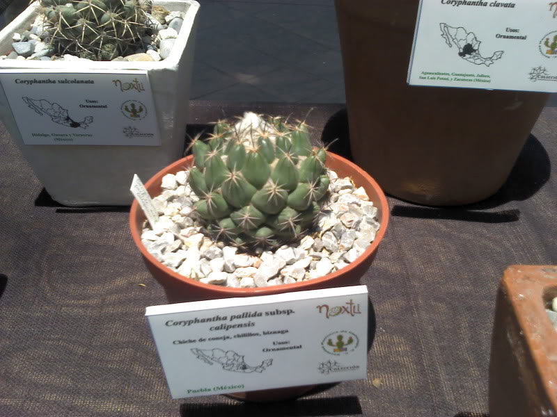 2011-04-10_13-47-19_475.jpg
