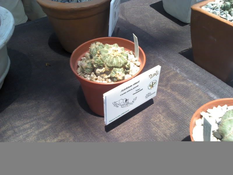 2011-04-10_13-47-32_382.jpg