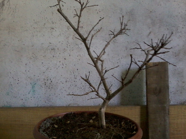 2011-04-17%2013.24.44.jpg