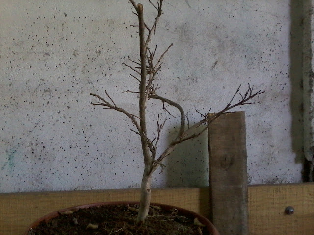 2011-04-17%2013.24.56.jpg