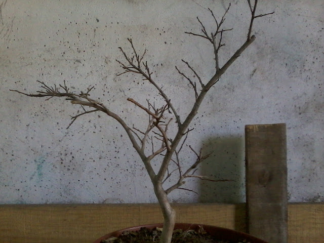 2011-04-17%2013.25.12.jpg
