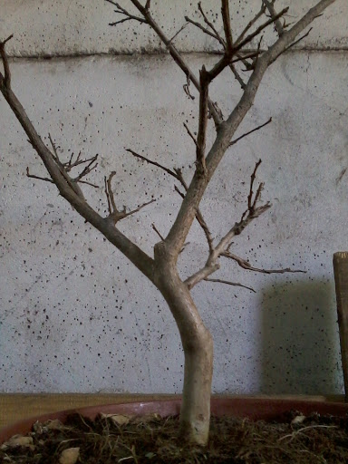 2011-04-17%2013.27.06.jpg