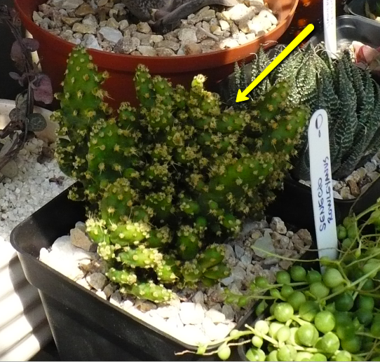 2011-05-06_2220.png