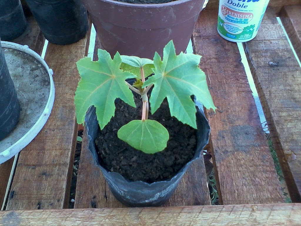 2011-05-19%2010.20.55.jpg