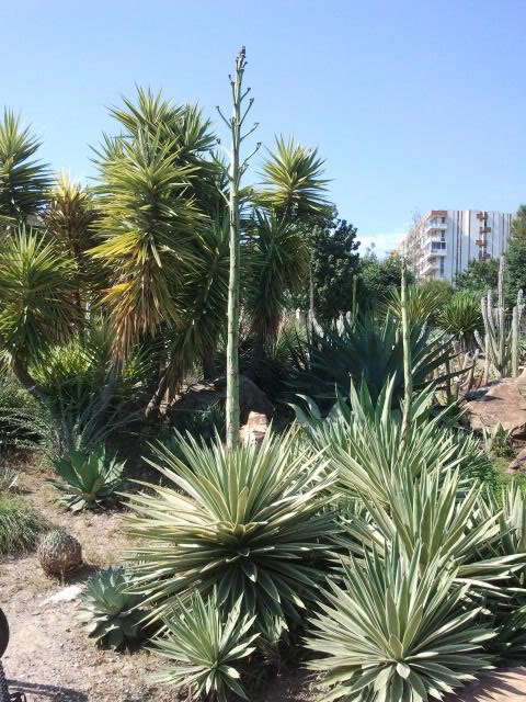 2011-05-22172854.jpg