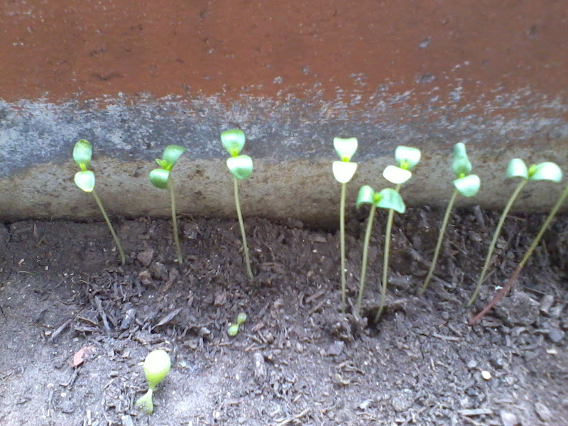 2011-05-24%2014.42.19.jpg
