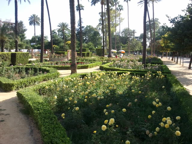 2011-05-28192133.jpg