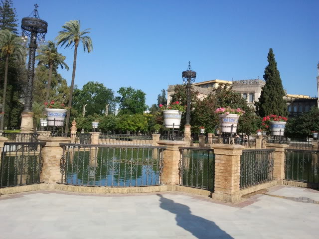 2011-05-28192143.jpg