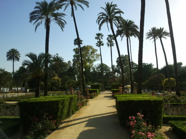 2011-05-28192300.jpg