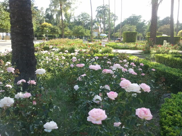 2011-05-28192326.jpg