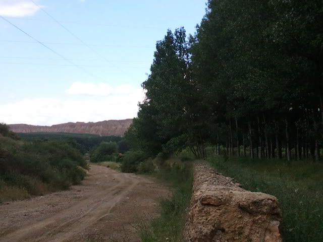 2011-06-01173007.jpg