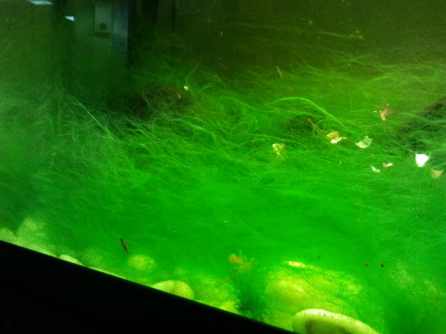 2011-06-14011251.jpg