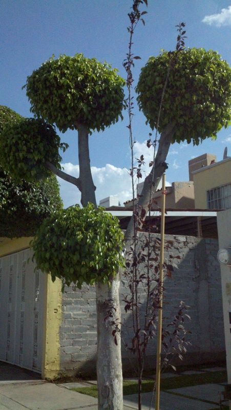 2011-06-16_17-34-42_8001.jpg