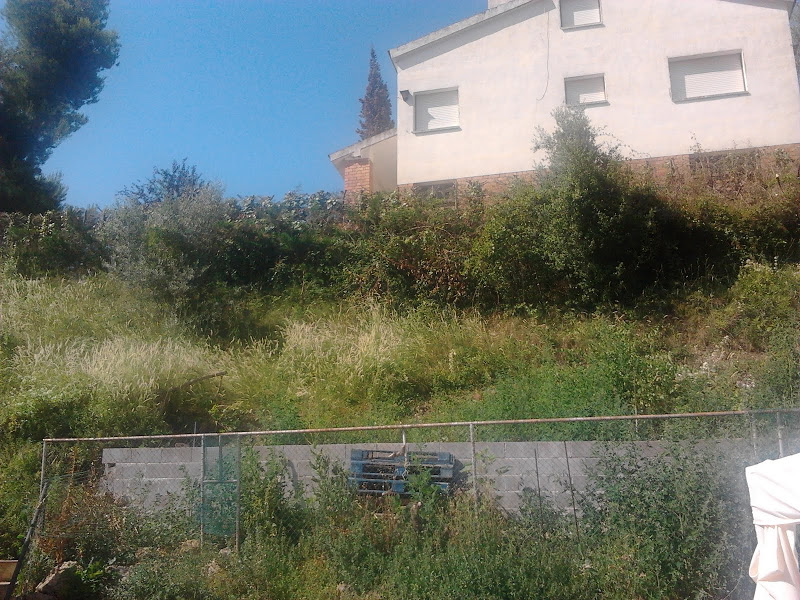 2011-07-10%25252010.40.45.jpg
