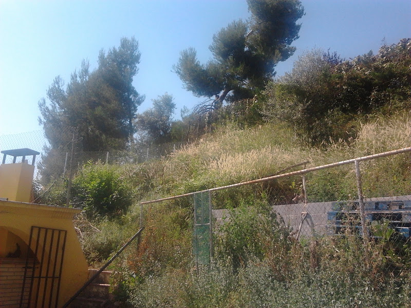 2011-07-10%25252010.40.55.jpg