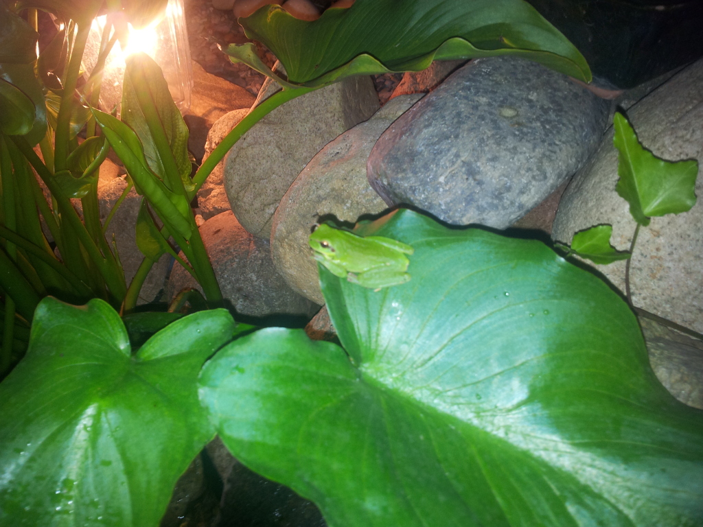 2011-08-04213007.jpg
