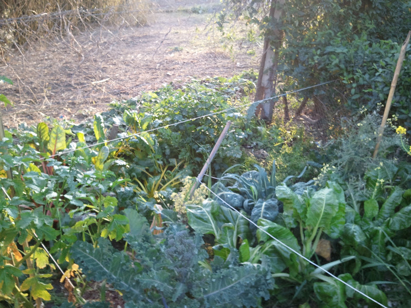 2011-09-13%25252018.11.27.jpg