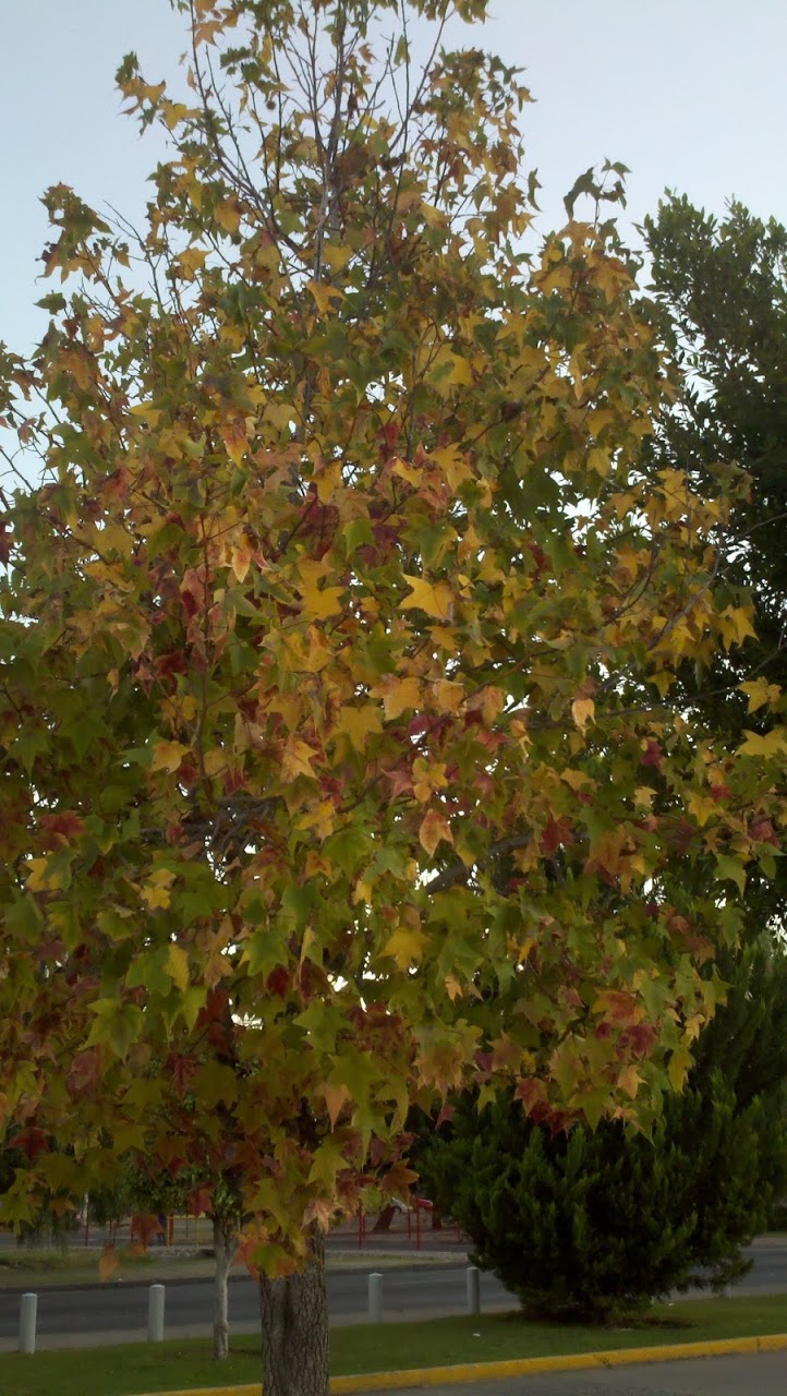 2011-10-26_19-16-41_659.jpg