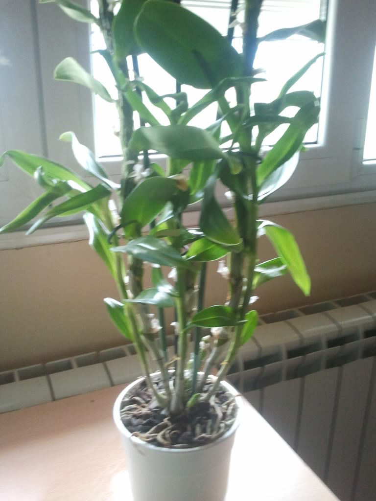 2011-10-27131750.jpg