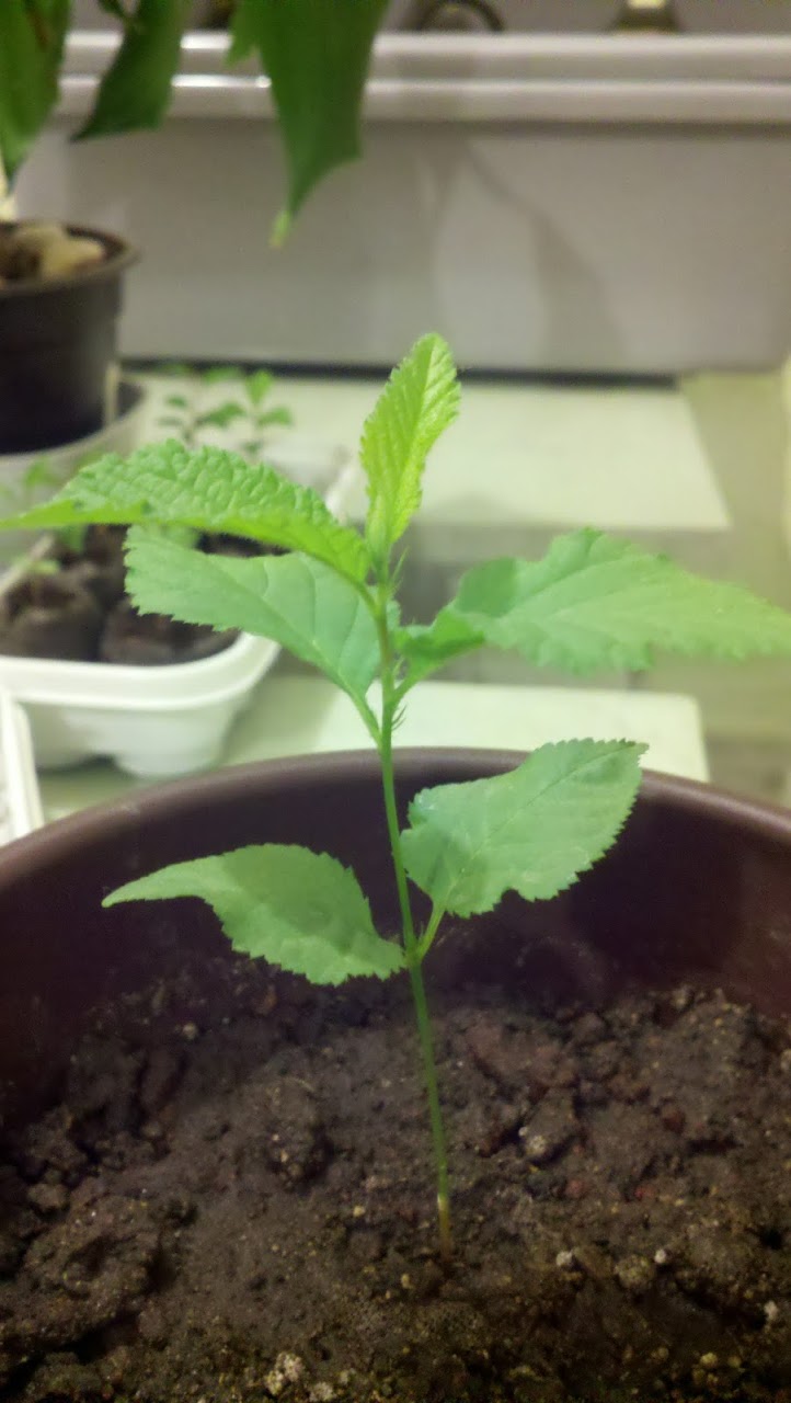 2011-10-27_02-16-34_141.jpg