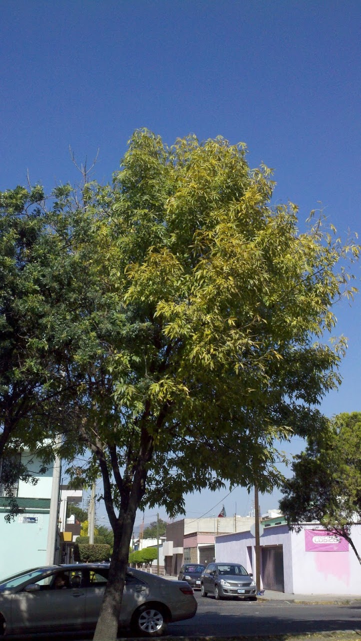 2011-10-27_15-46-14_930.jpg