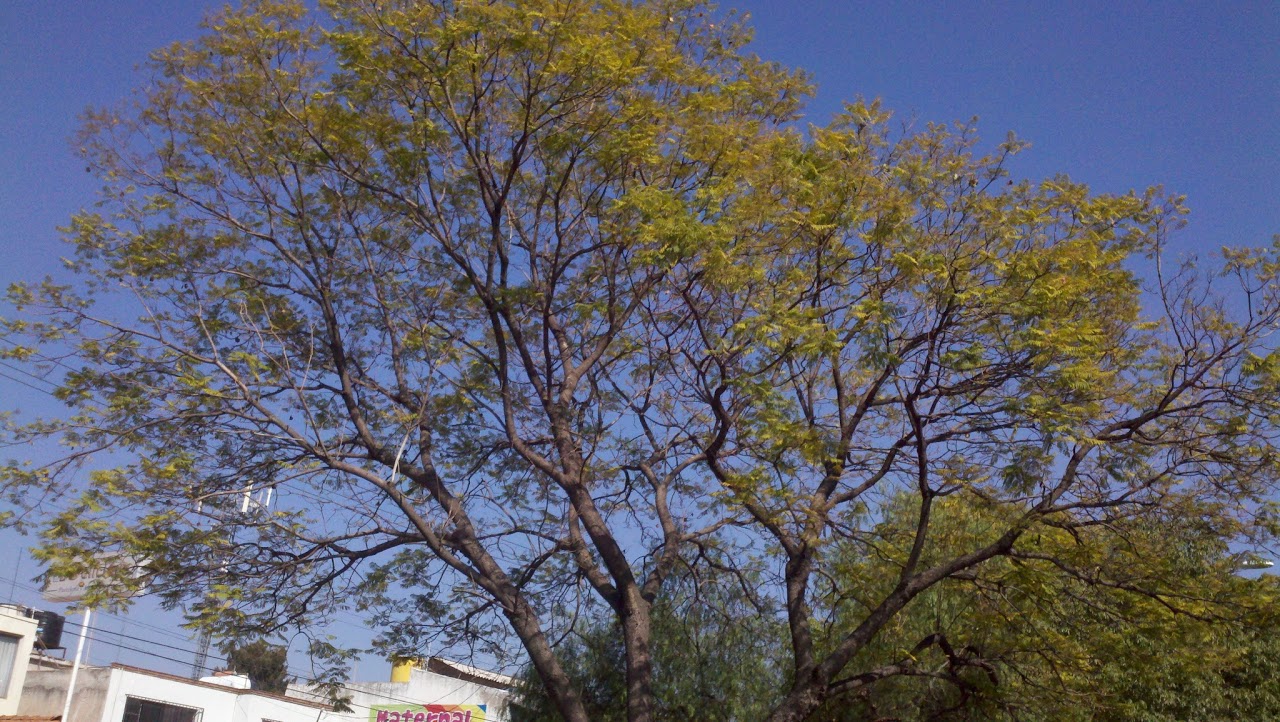 2011-10-27_15-53-15_263.jpg