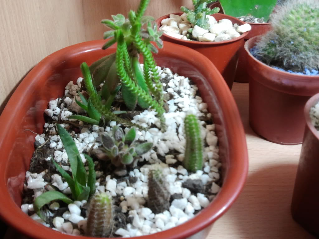 2011-10-29223047.jpg