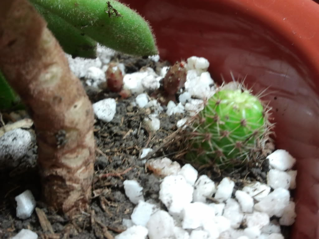 2011-10-29224128.jpg