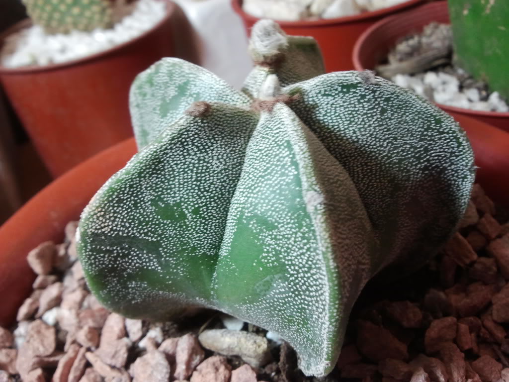 2011-11-05235915.jpg