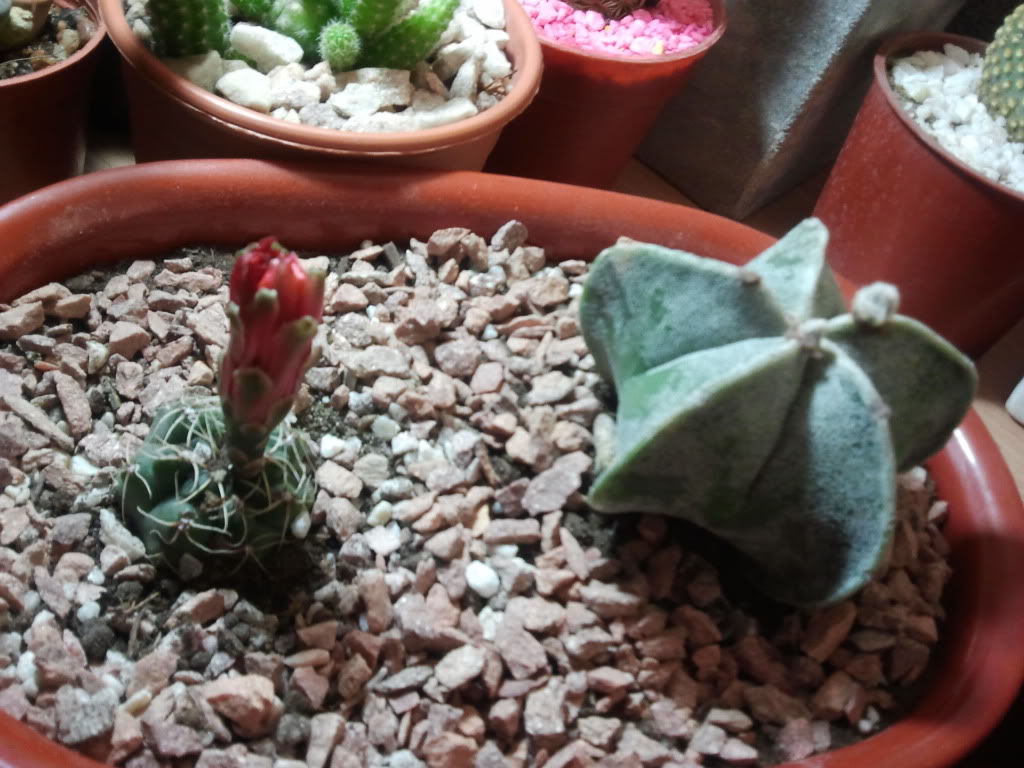 2011-11-06000003.jpg