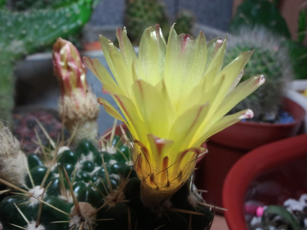 2011-11-13005115.jpg