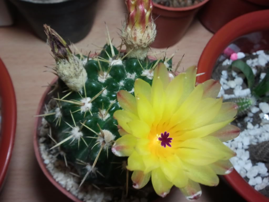 2011-11-13005223.jpg